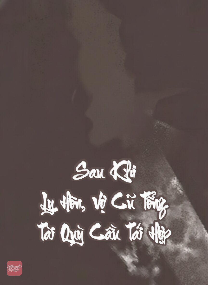 Sau Khi Ly Hôn, Vợ Cũ Tổng Tài Quỳ Cầu Tái Hợp