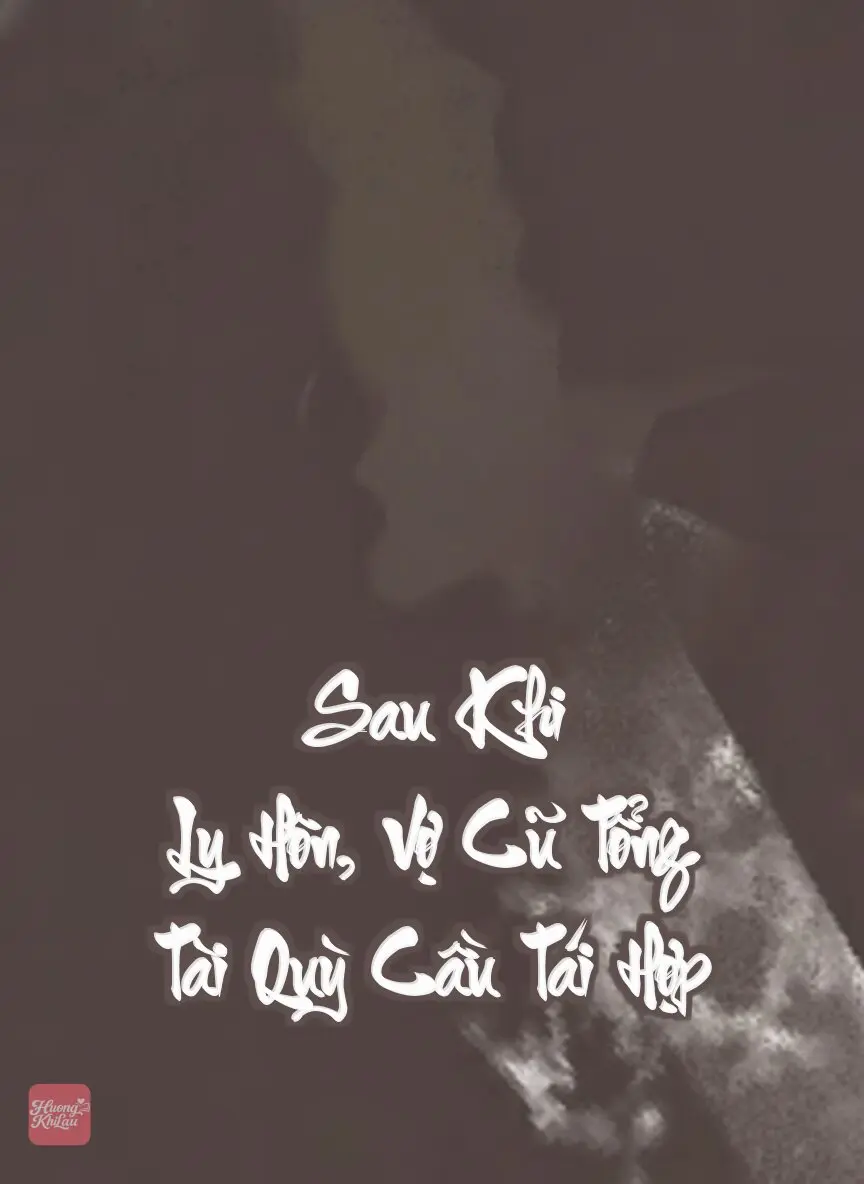 Sau Khi Ly Hôn, Vợ Cũ Tổng Tài Quỳ Cầu Tái Hợp