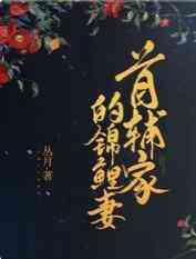 Thủ Phụ Gia Đích Cẩm Lý Thê